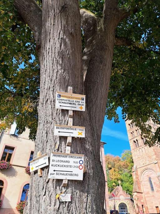 Entre Vignes Et Vergers Gite Parenthese Gueberschwihr Zewnętrze zdjęcie